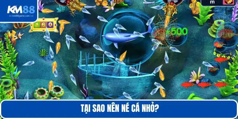 Tránh cá nhỏ để tập trung săn boss khủng