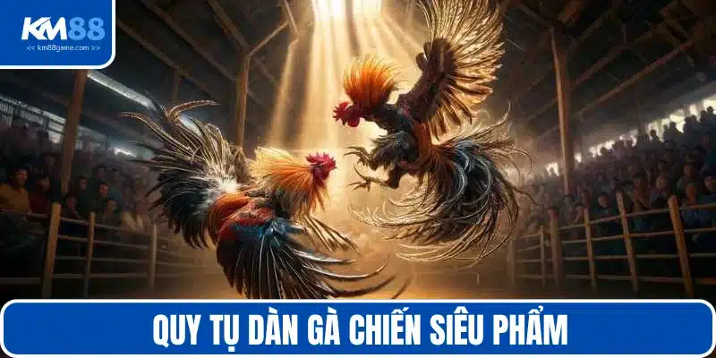 Xuất hiện dàn gà chiến tham gia cực đỉnh cao