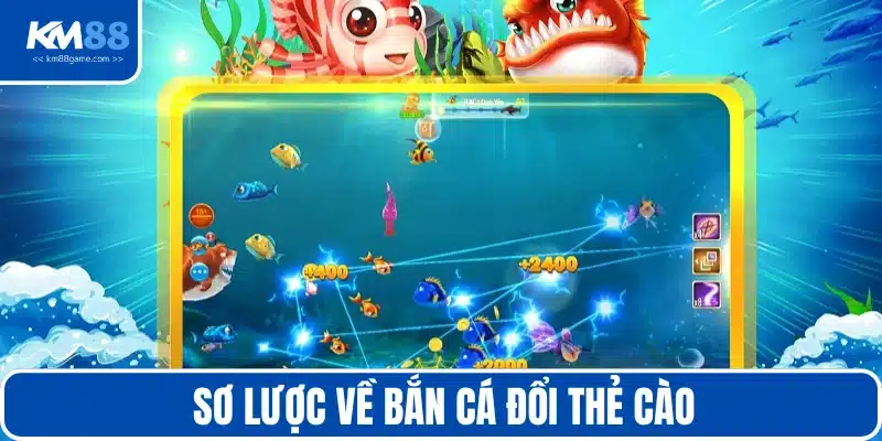 Tìm hiểu chung về săn cá đổi thẻ cào thú vị