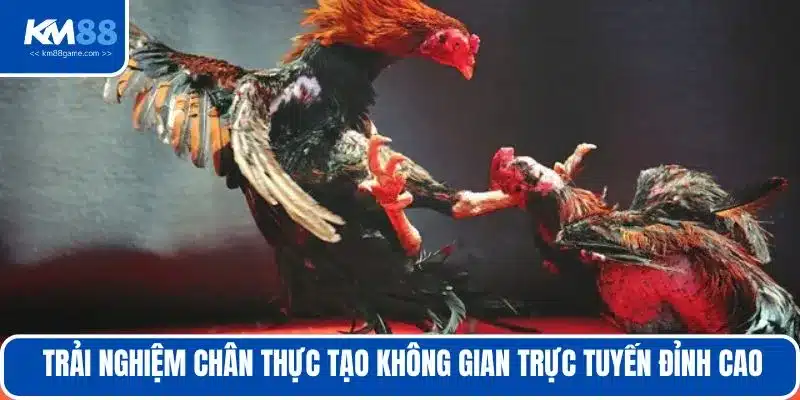 Trải nghiệm chân thực tạo không gian trực tuyến đỉnh cao